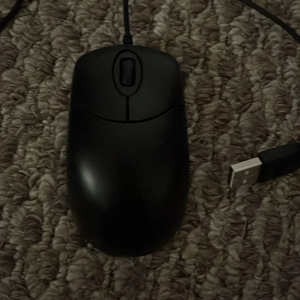 Computer Mouse
